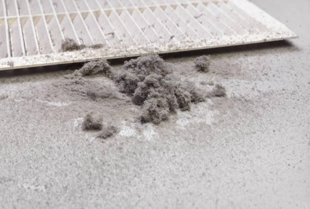 Best Affordable Duct Cleaning Services  in Arlington, MN