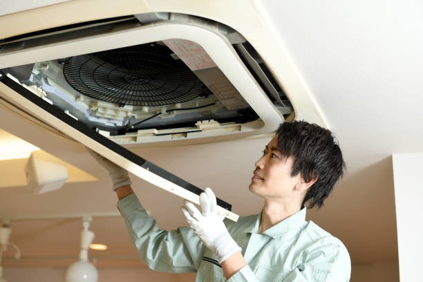 Best Air Duct Cleaning Near Me  in Arlington, MN