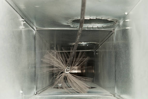 Best Ductwork Cleaning Services  in Arlington, MN