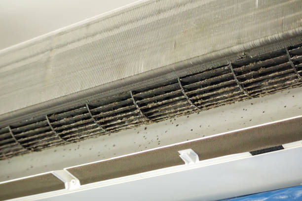 Best Commercial HVAC Duct Cleaning  in Arlington, MN